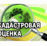 Администрация Вадинского района информирует об утверждении результатов определения кадастровой стоимости земельных участков - Вадинский район