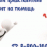 СТРАХОВЫЕ ПРЕДСТАВИТЕЛИ СПЕШАТ НА ПОМОЩЬ! - Вадинский район