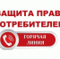 Открыта «горячая линия», приуроченная к Всемирному дню прав потребителей - Вадинский район