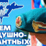 Глава Вадинского района Михаил Буслаев поздравляет с  Днём Воздушно-Десантных Войск - Вадинский район