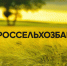 Шесть студентов Пензенского ГАУ стали стипендиатами РСХБ в 2025-2026 учебном году - Вадинский район