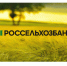 «Казань Агро»: инвестиционная ёмкость АПК ПФО достигает 260 млрд рублей - Вадинский район