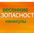 Безопасные весенние каникулы - Вадинский район